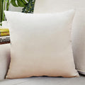 20x20 White Velvet Pillow Covers
