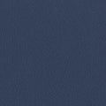 Panaz Highland Navy (Healthcare)