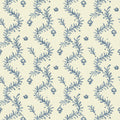 Magic Lantern Sea Holly