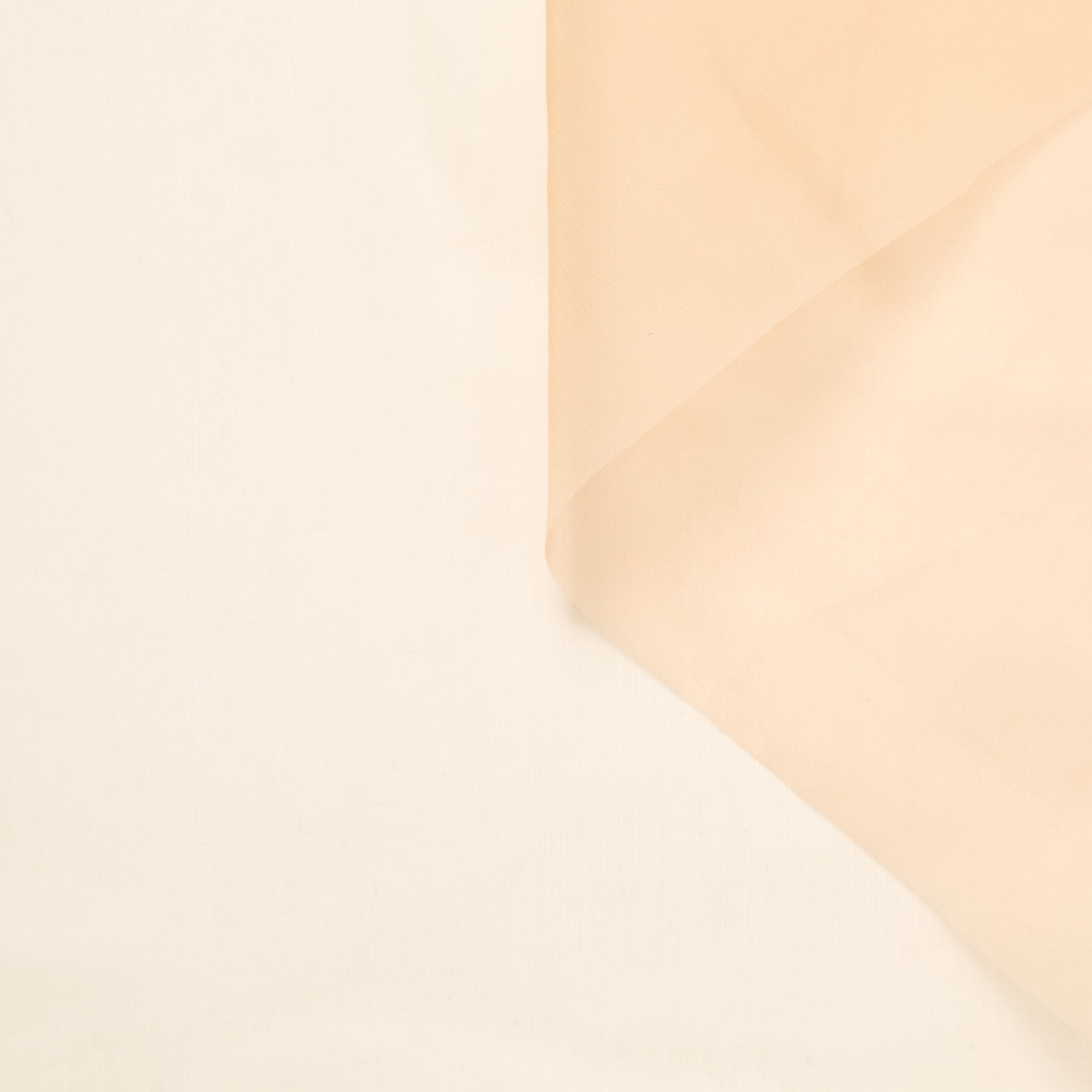 T23A05519 | Dry Silk Organza